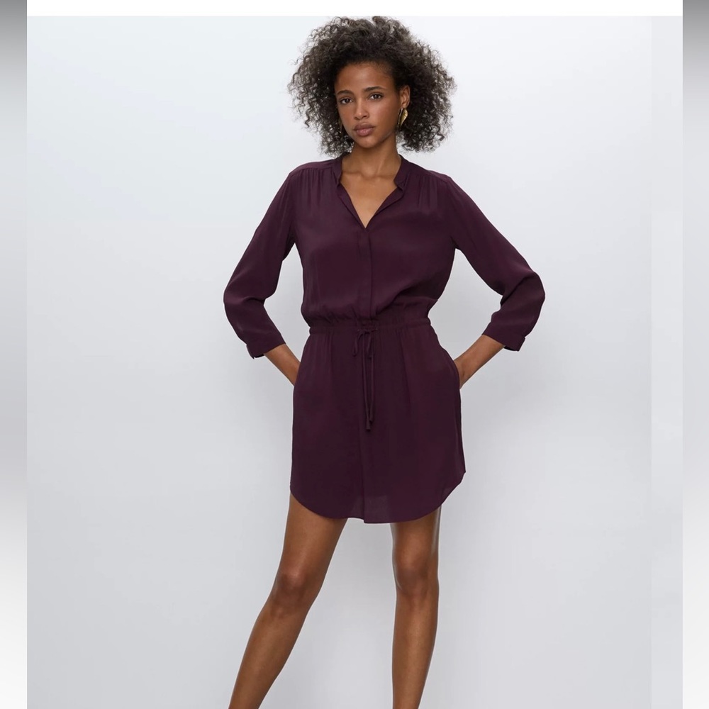 Aritzia 100% silk size xs Benner dress